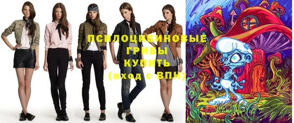 PSILOCYBIN Алексеевка